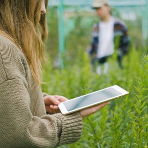Environmental Science Projects for Students: A Practical Guide | tna W rna