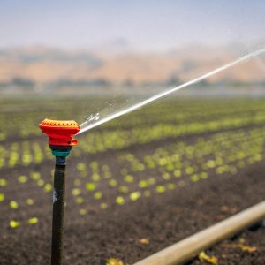 Smart Irrigation System