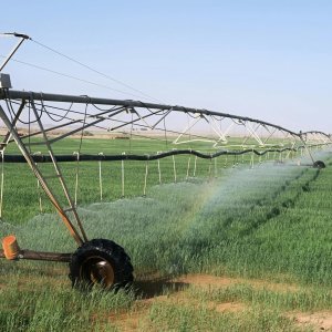 Smart WiFi Irrigation Timer