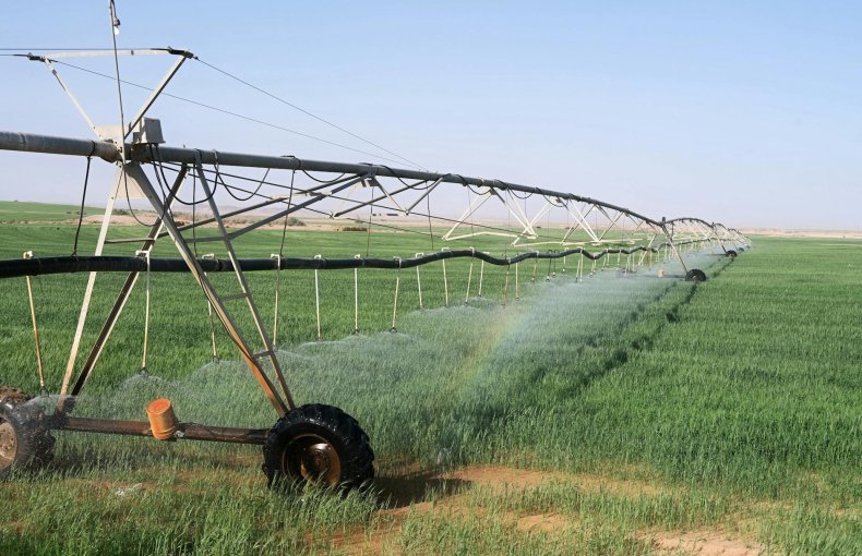 Smart WiFi Irrigation Timer