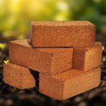 Peat Moss Brick
