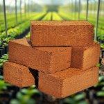 Peat Moss Brick