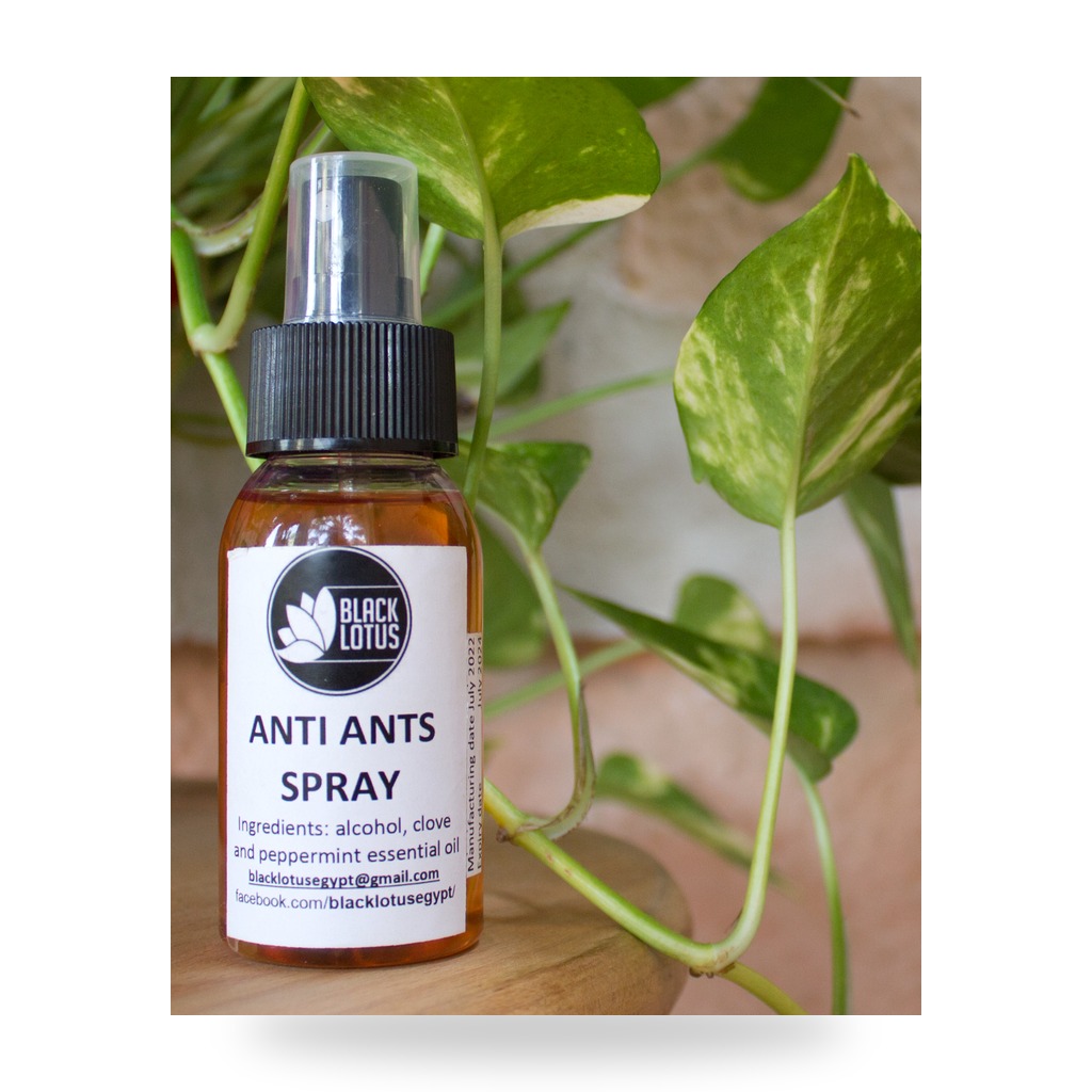 Anti-Ants Control Spray
