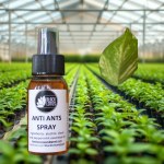 Anti-Ants Control Spray
