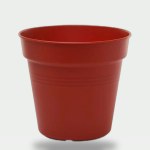 Plant Pot with Self-Watering System