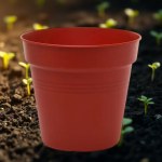 Plant Pot with Self-Watering System