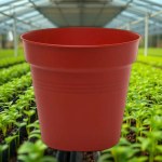 Plant Pot with Self-Watering System