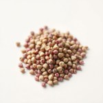 Amaranth Flowers