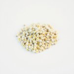 Alyssum Flowers