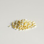 English Daisy (Bellis perennis)