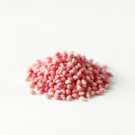 Chinese Carnation