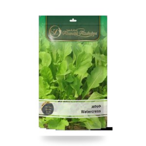 Rocket Eruca sativa Seeds