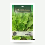 بذور الجرجير Eruca sativa