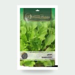 بذور الجرجير Eruca sativa