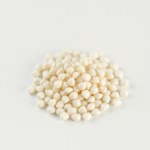 الفجل الأبيض white radish