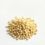 نبات الكرفس Apium graveolens