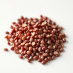 البصل الأحمر Red onion