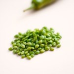 Hot Green Pepper