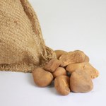 Decorative Brown Garden Pebble