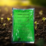 Topsin M 70% WP Fungicide (400g)