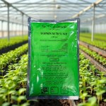 Topsin M 70% WP Fungicide (400g)