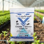 مسحوق اوثرين المبيد للحشرات