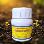 Cloprid 35% SC Insecticide