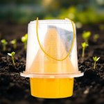 Fly Trap with Pheromone