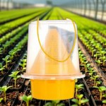 Fly Trap with Pheromone