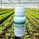 Delta 1 Insecticide British Origin