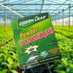 Cockroach Powder Original 10 Sachets