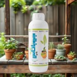 Potassium Sulfate Solution Groupotus Plus