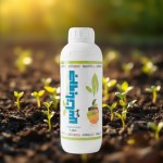 Potassium Sulfate Solution Groupotus Plus
