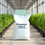 Potassium Sulfate Solution Groupotus Plus