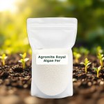 Royal Algae Fertilizer 100g