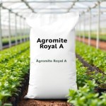 Royal Algae Fertilizer 100g
