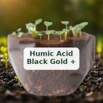 Humic Acid Soil Conditioner with Micronutrients and Amino Acids 1kg US Origin