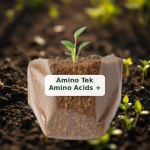 Liquid Amino Acids + Micronutrients Solution (500ml)