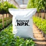 سماد NPK 20-20-20 متوازن للنباتات والزهور - 250 جرام