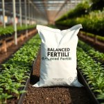 Balanced NPK Fertilizer Loran 500g