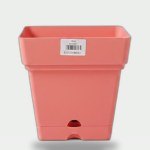 Plastic Square Planter 18cm - Watermelon Pink