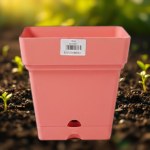 Plastic Square Planter 18cm - Watermelon Pink