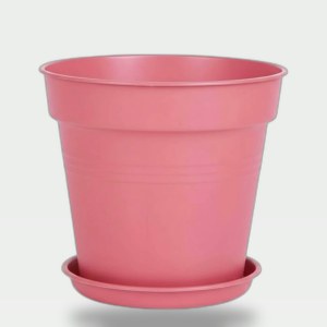 Flower Pot with Tray 17cm