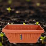 Mexican Planter 31cm