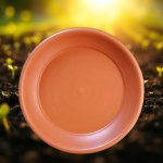 German Plate for 30cm Pots