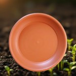 German Saucer Plate for 25cm Pots