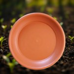 German Saucer Plate for 20cm Pots