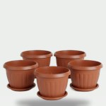 Set of 5 German Plant Pots 20 cm with Tray