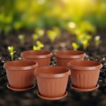 Set of 5 German Plant Pots 20 cm with Tray