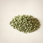 10 Thai Basil Seeds